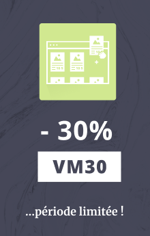 -30% sur l'extension Visual Merchandiser pour Magento 2